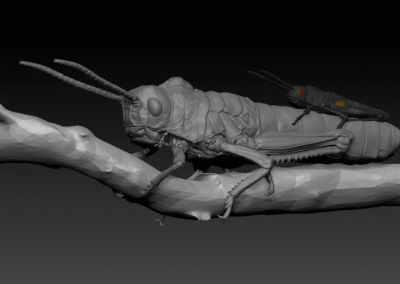 Escultura personalizada 11 Escultura personalizada