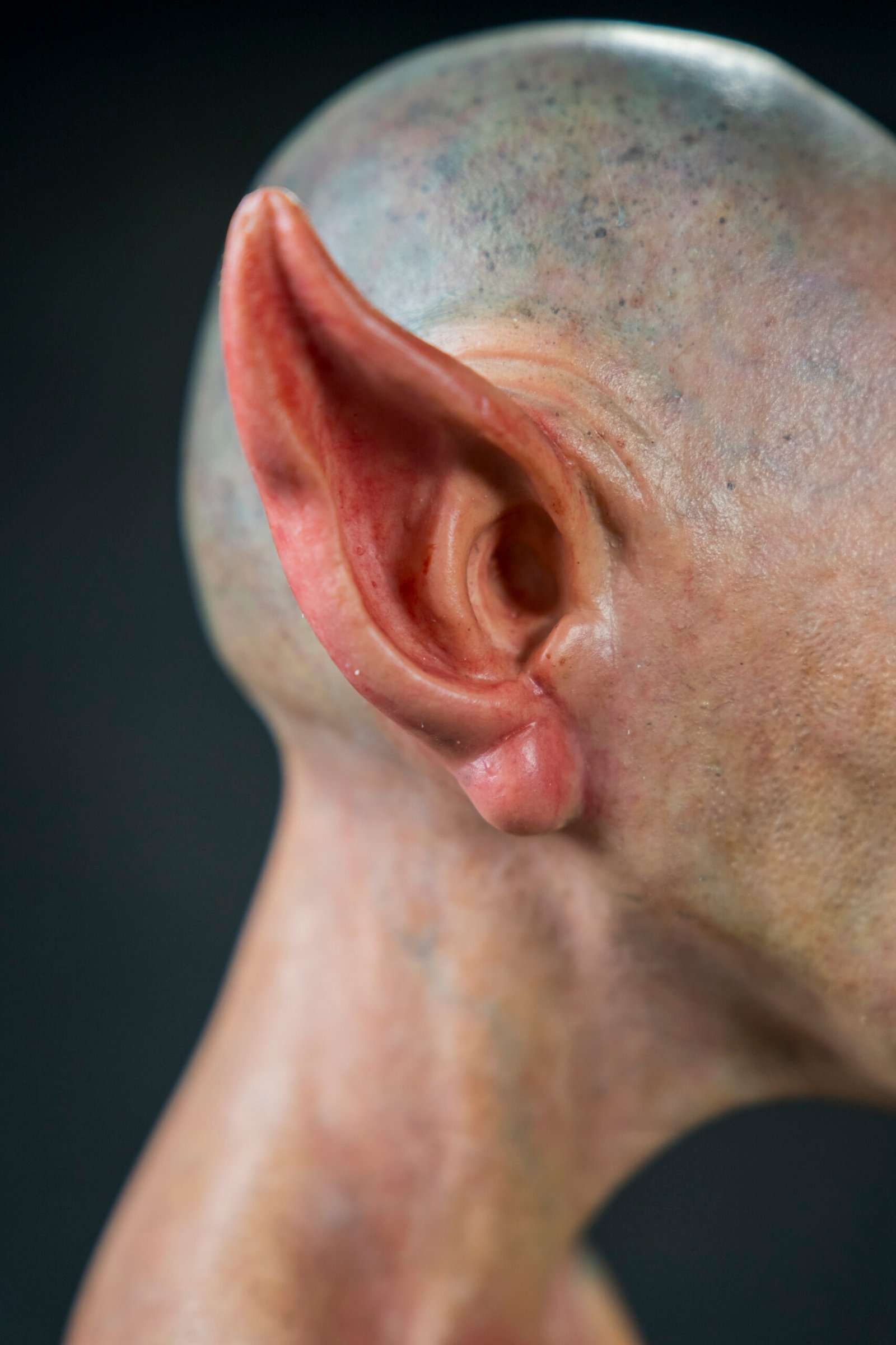 Goblin 10 Goblin - Imagen 10